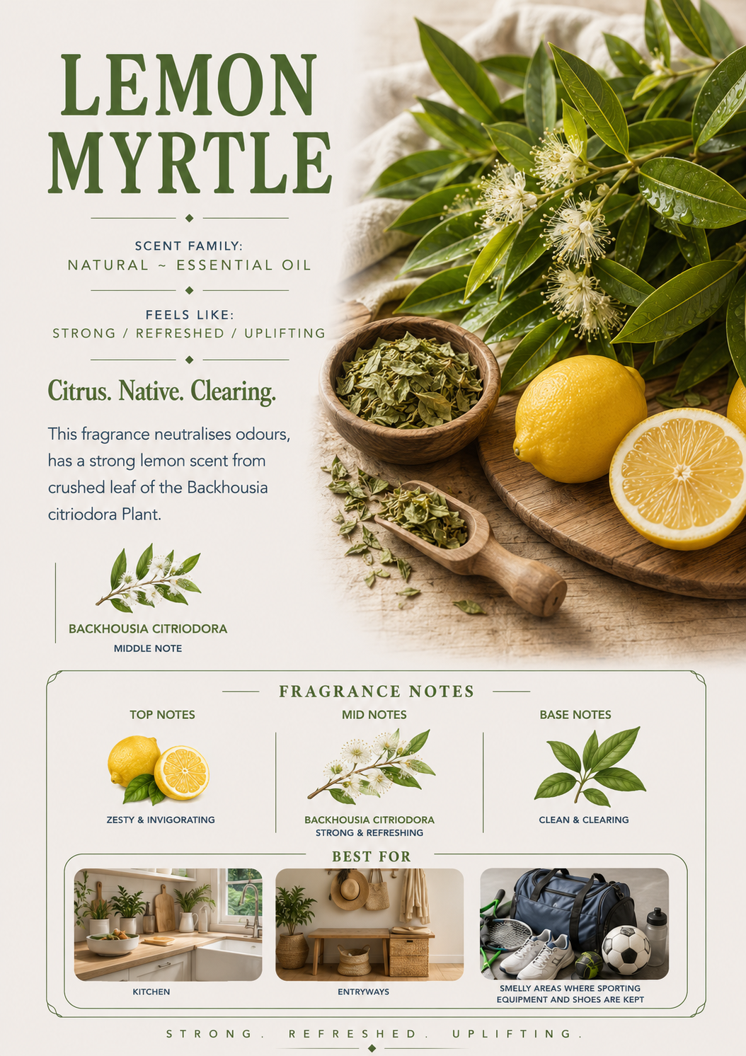 Lemon Myrtle scent profile