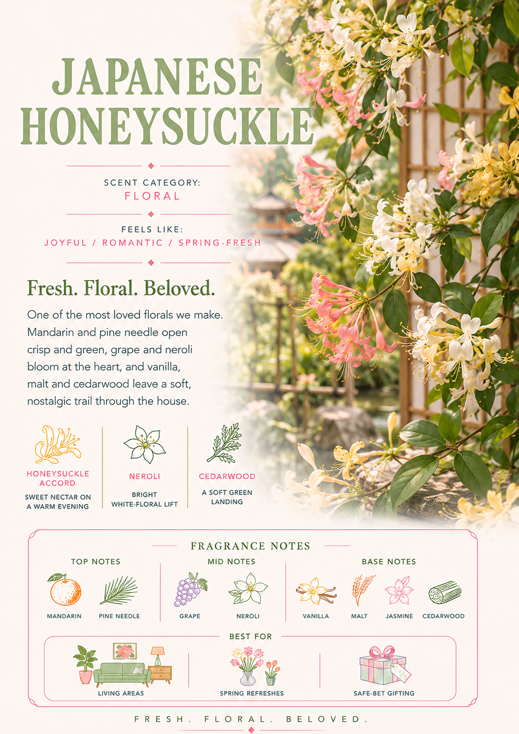 Japanese Honeysuckle scent profile