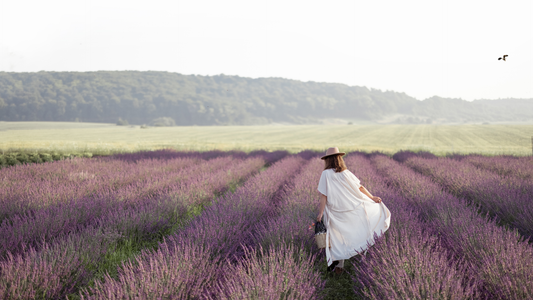 Essential Oils vs Artisan Fragrance Blends: What Nobody in This Industry Will Tell You