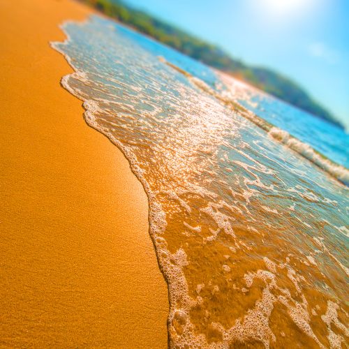 Beach Coastal turns any room into a holiday.