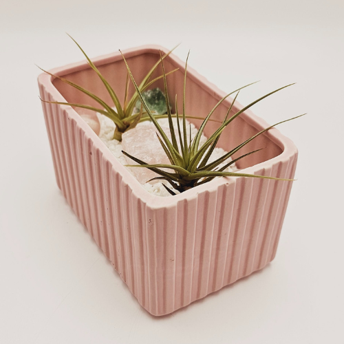 Two Air Plant Tillandsia's mounted on tall wire and embedded in a pink rectangle planter, with mini white rocks and crystals.