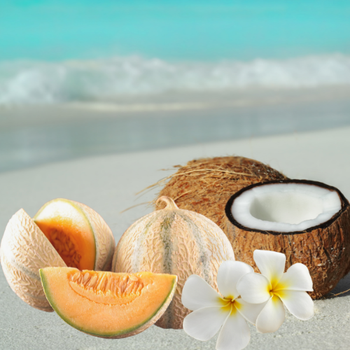 Coconut Melon Fragrance Profile Picture.