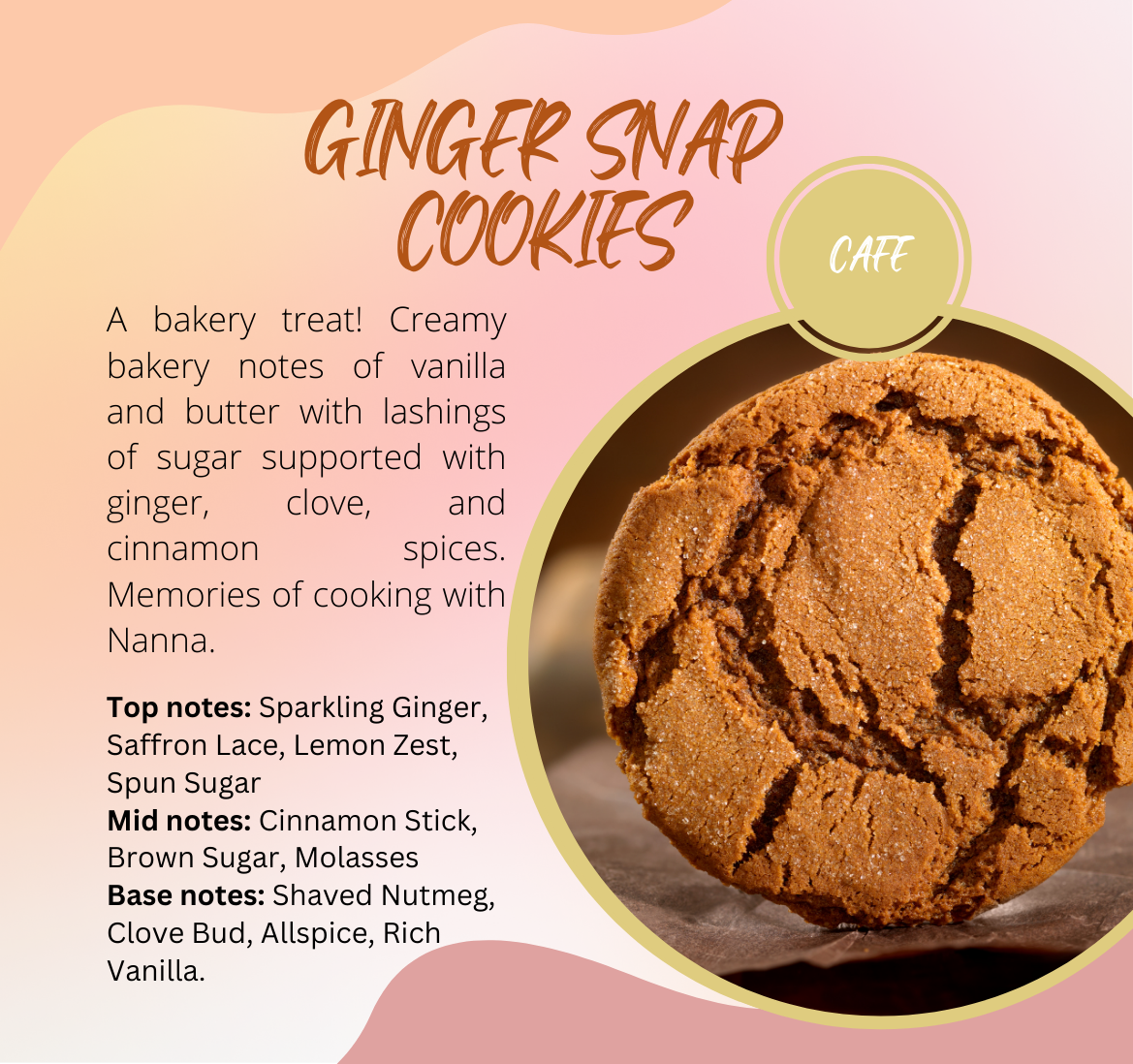 Cafe Collection - Ginger Snap Cookies