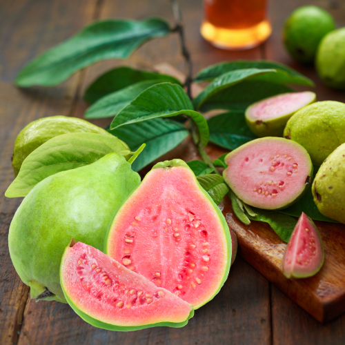 Guava Splash Fragrance Profile Picture.