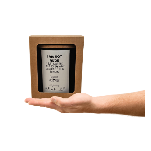 I am not rude - I just have the balls to say what everyone else is thinking novelty candle
