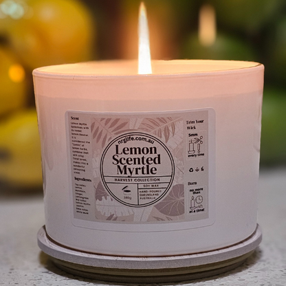 Harvest - Lemon scented Myrtle