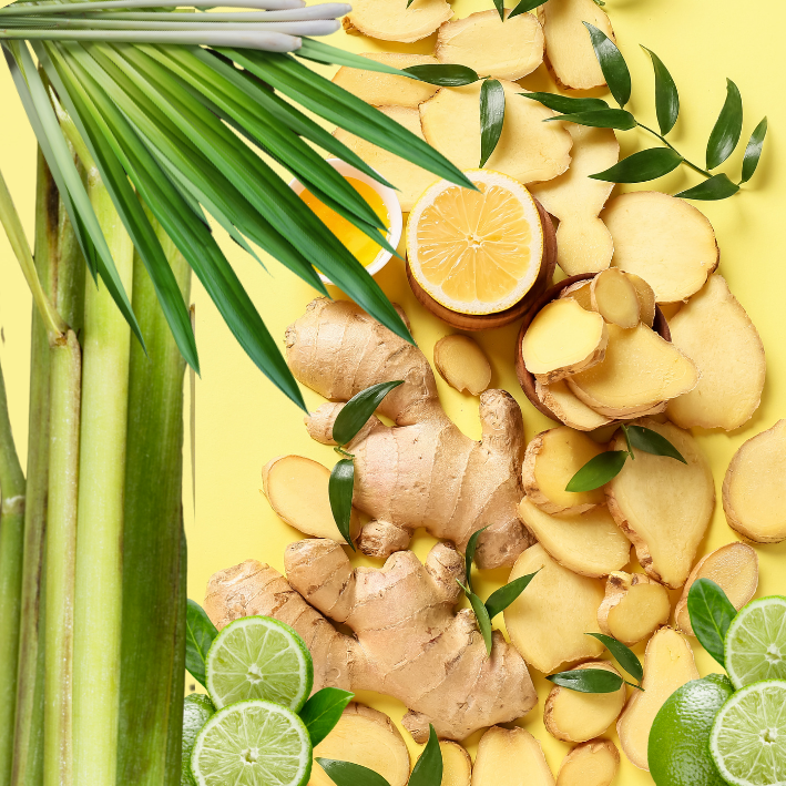 Lemongrass & Ginger Fragrance Profile Picture.