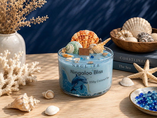 Ningaloo Bliss Shell Candle
