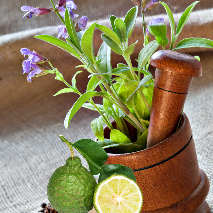 A picture of fresh sage and zesty bergamot to represent the scent.