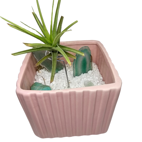 A Square shape planter with white rocks and crystals inside and an Air Plant Tillandsia embedded in the middle on a wire.