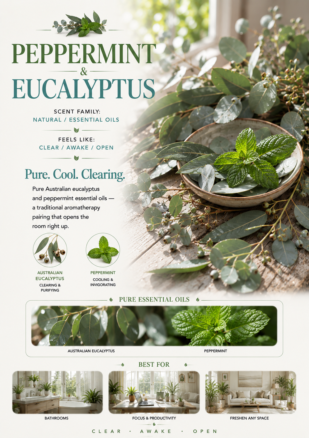 Peppermint & Eucalyptus scent profile