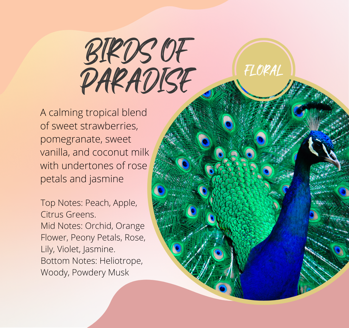 Birds of Paradise Fragrance Chart