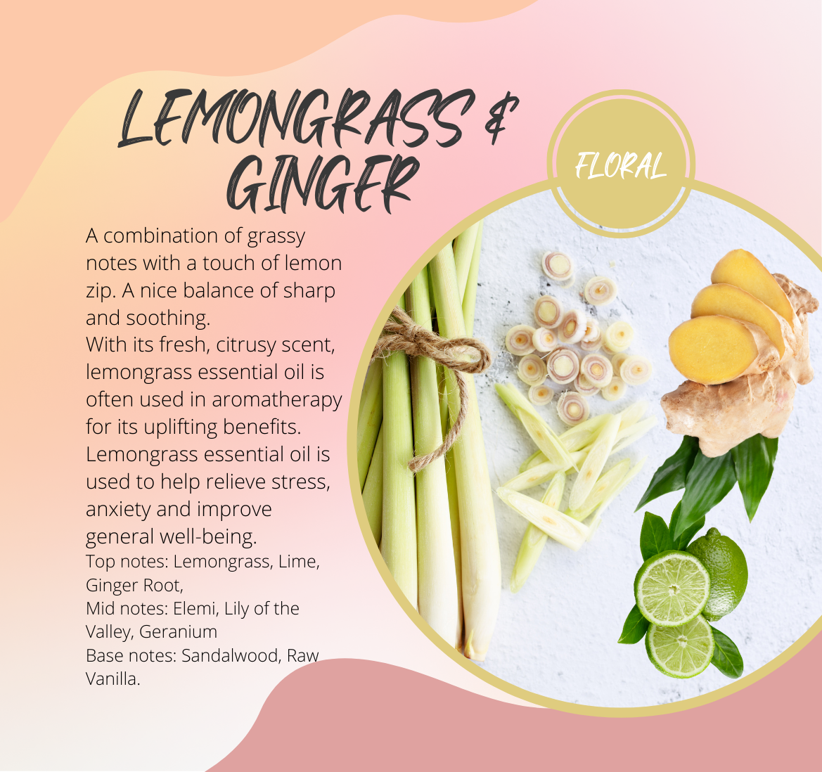 Lemongrass & Ginger Fragrance Chart